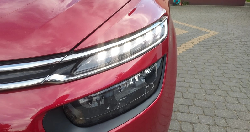 Citroen C4 SpaceTourer cena 67900 przebieg: 113000, rok produkcji 2019 z Kargowa małe 436